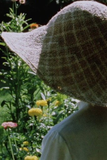 Movie poster for Silent Sonatas (2007)