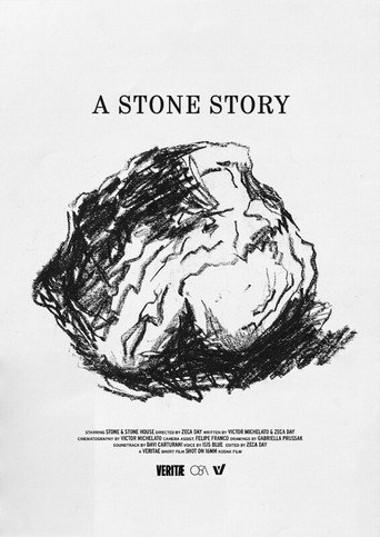 Movie poster for A Stone Story (2024)