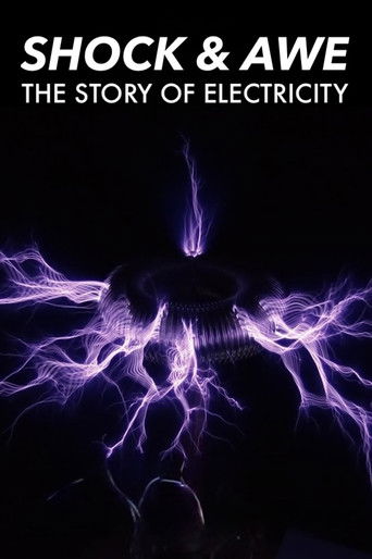 Shock and Awe: The Story of Electricity poster