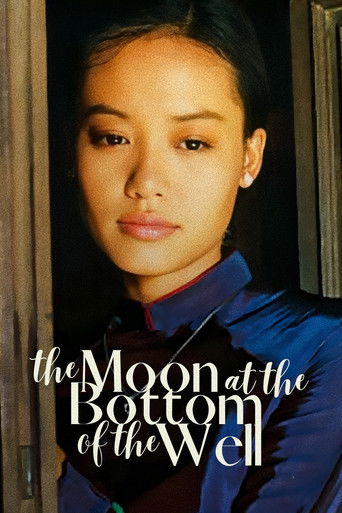 The Moon at the Bottom of the Well poster