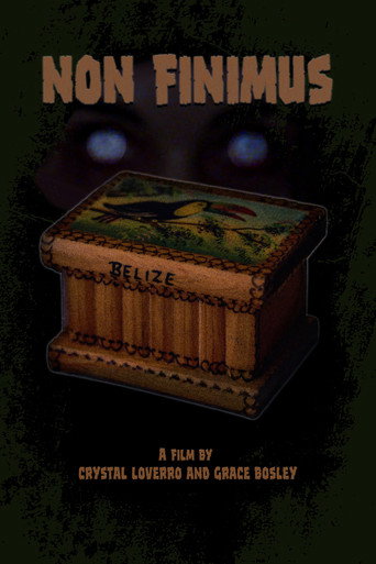 Movie poster for Non Finimus