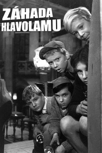 Záhada hlavolamu poster