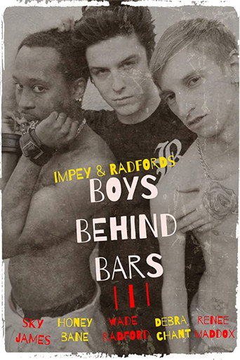 Movie poster for Boys Behind Bars 3 (2015)