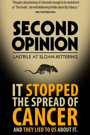 Movie poster for Second Opinion (2014)