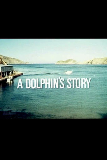 Movie poster for A Dolphin's Story (1974)