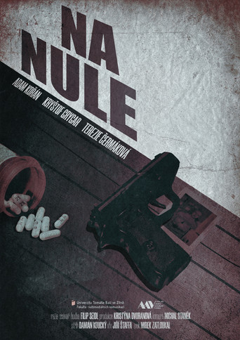 Movie poster for Na nule (2025)