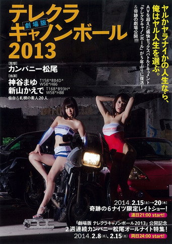 Movie poster for The Sex Cannon Ball Run 2013 (2014)