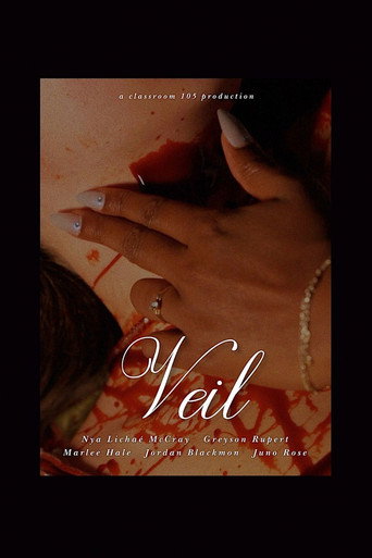Movie poster for Veil (2025)