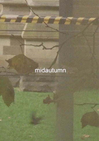Movie poster for midautumn (2024)
