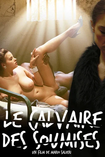 Movie poster for Le calvaire des soumises 2 (2017)