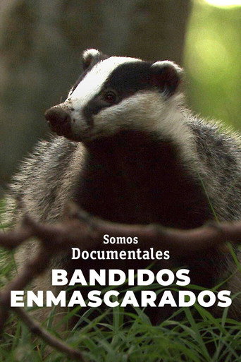 Movie poster for Masked Bandits (2023)