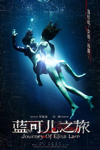 Movie poster for Journey of Elisa Lam (2014)