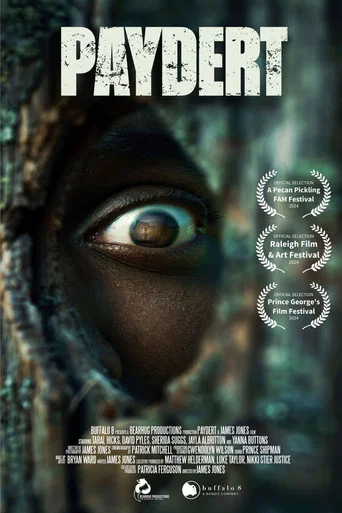 Movie poster for Paydert