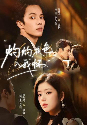 灼灼夜色入我怀 poster