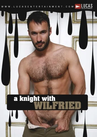 Movie poster for Auditions 28: A Knight With Wilfried (2008)