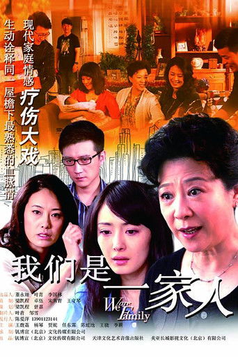 我们是一家人 poster