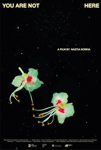 Movie poster for You are not here (2023)