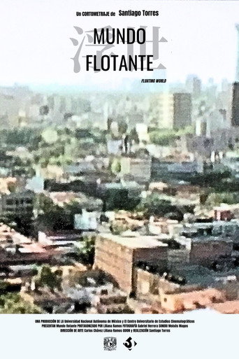 Movie poster for Floating World (2008)