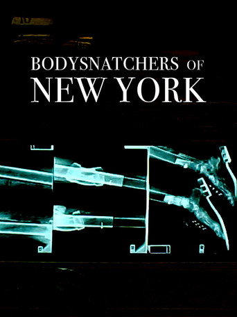 Movie poster for Bodysnatchers of New York (2010)