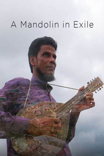 Movie poster for A Mandolin in Exile (2020)