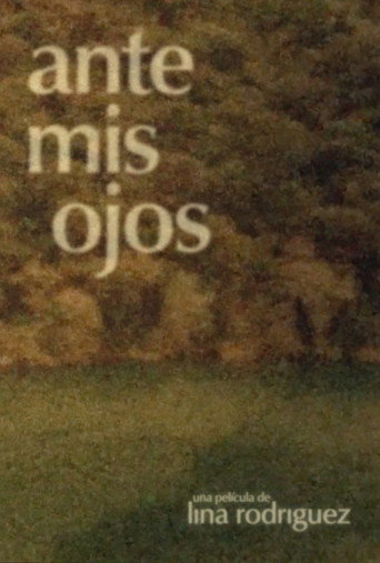 Movie poster for Ante mis ojos (2018)