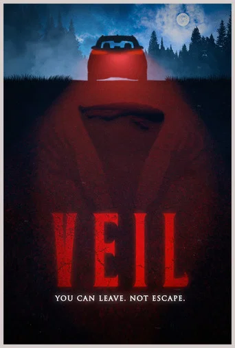 Movie poster for VEIL (2026)