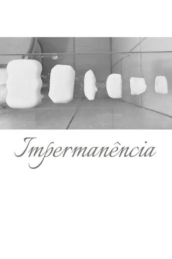 Movie poster for Impermanence (2022)
