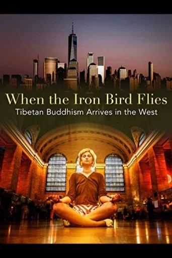 Movie poster for When the Iron Bird Flies (2012)