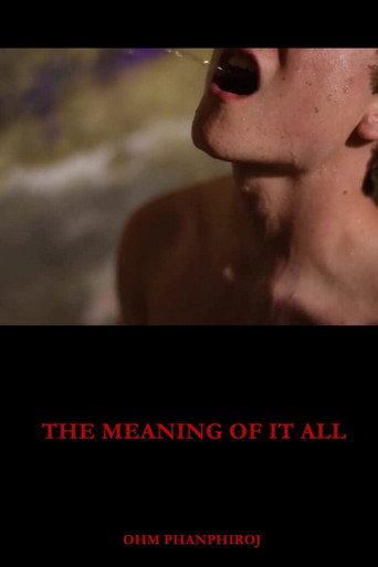 Movie poster for The Meaning of It All (2018)