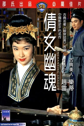Movie poster for The Enchanting Shadow (1960)