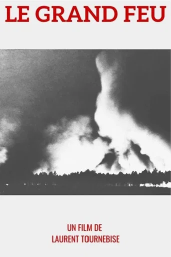 Movie poster for 1949 : le Grand feu (2025)
