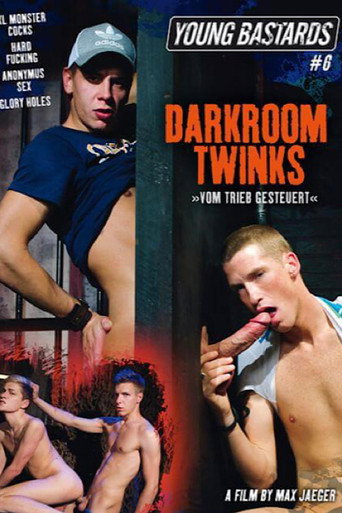 Movie poster for Young Bastards 6: Darkroom Twinks (2013)