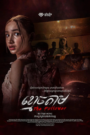 Movie poster for The Follower (2024)