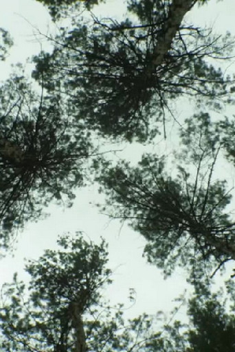 Nature_Nature poster