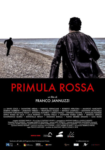 Primula Rossa poster