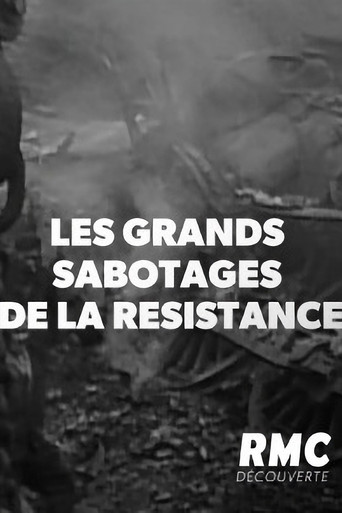 Movie poster for Les Grands sabotages de la résistance