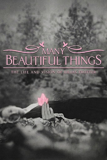 Movie poster for Many Beautiful Things (2015)