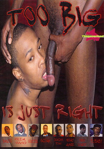 Movie poster for Too Big Is Just Right (2010)