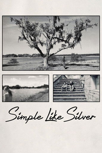 Simple Like Silver poster