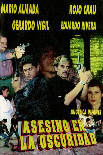 Asesino En La Oscuridad poster
