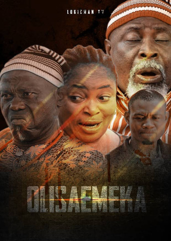Movie poster for Olisaemeka