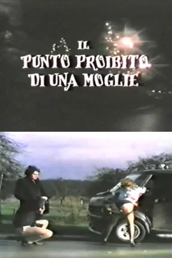 Une belle carrosserie poster