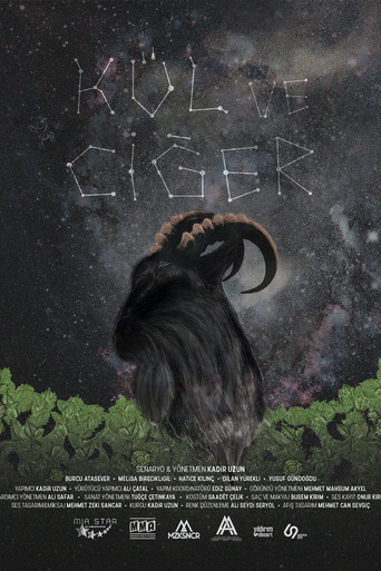 Movie poster for Kül ve Ciğer (2021)