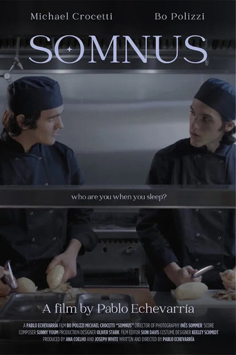 Movie poster for Somnus (2024)