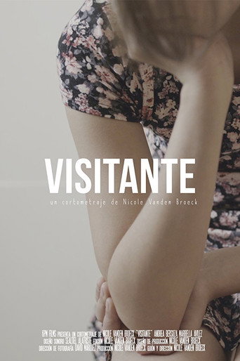 Movie poster for Visitante (2017)
