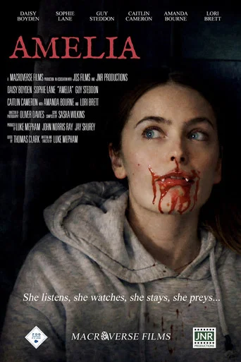 Movie poster for Amelia