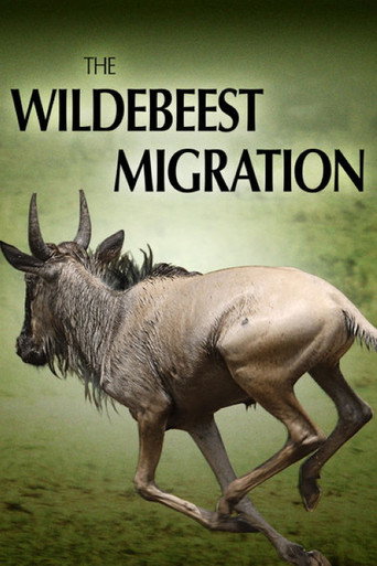 Movie poster for The Wildebeest Migration: Nature's Greatest Journey (2012)