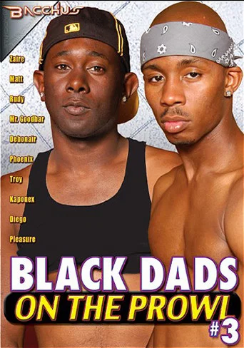 Movie poster for Black Dads on the Prowl 3 (2010)