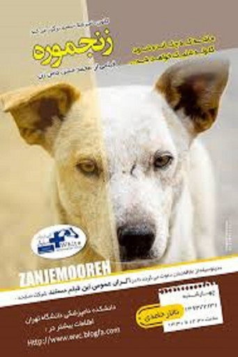 Movie poster for Zanjmoore (2012)