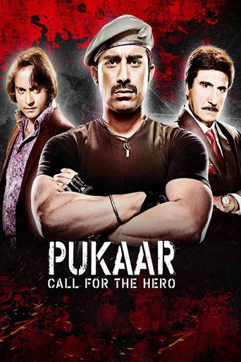 Pukaar: Call for the Hero poster